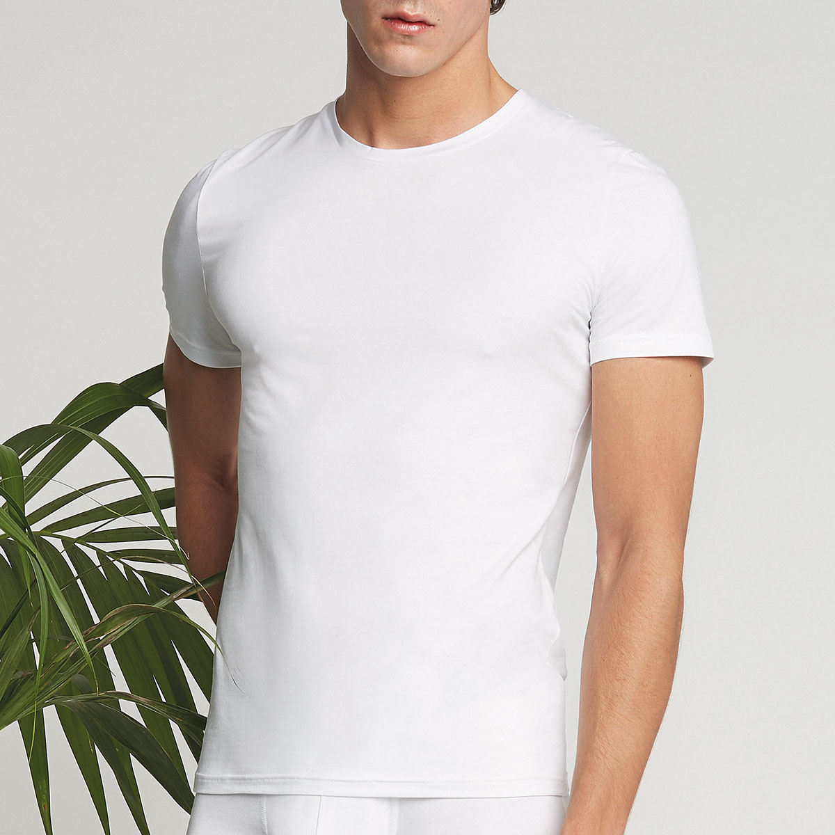 Maglia Girocollo Manica Corta Uomo Cotonella Bianco AU374_00001
