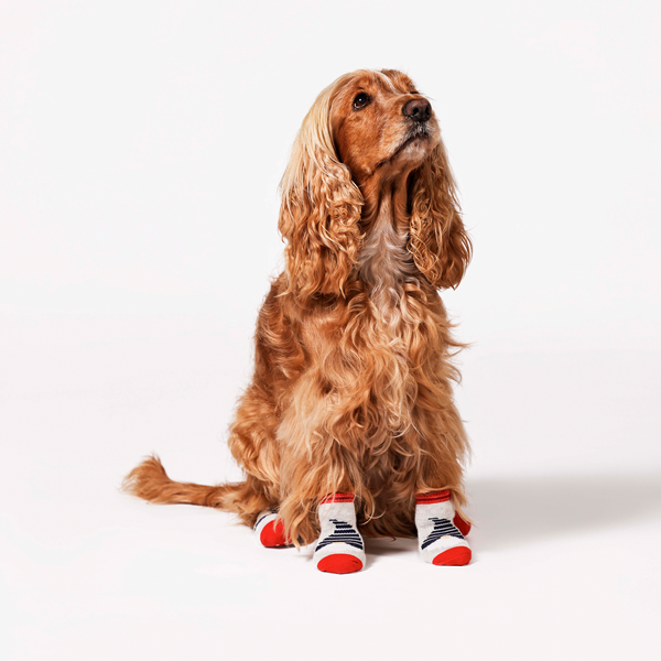 Calze Per Animale Da Compagnia Cotonella
