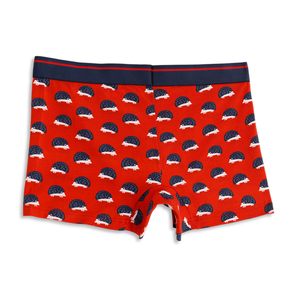 Boxer Uomo Cotonella Rosso EU162_00007_2
